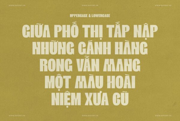 DFVN ED Aughris Viet hoa pic4